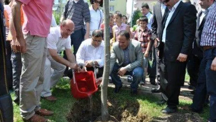 İ.B.B.'den Silivri'ye 1500 ağaç