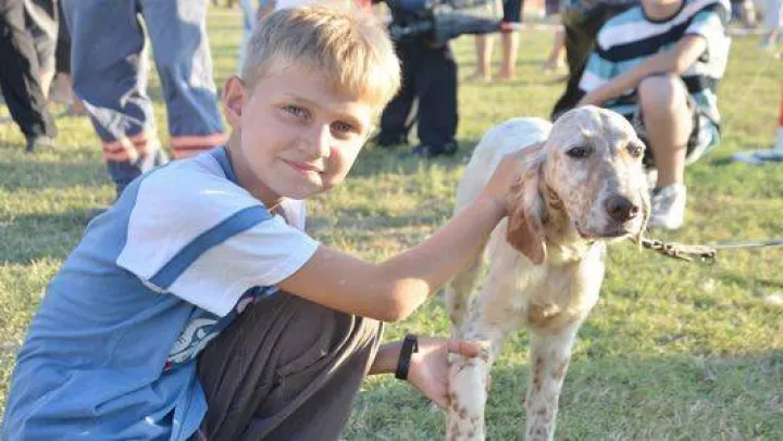Köpek Irklari 4. Kez Silivri'de Yarıştı