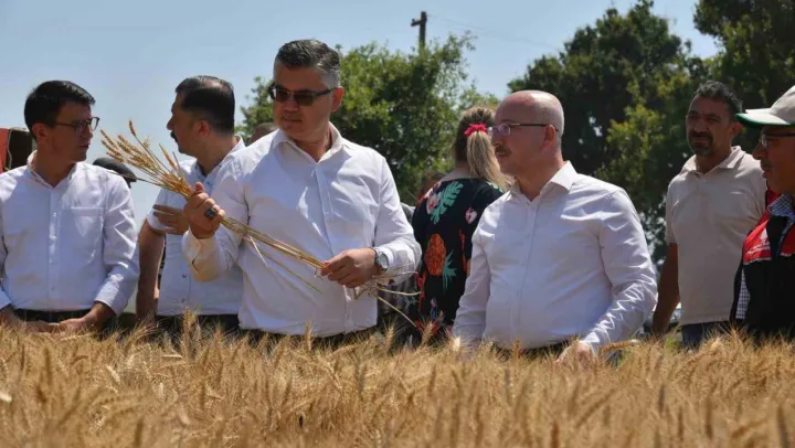 Sındırgı'da yerli üretim ile alınan verim yüzleri güldürdü