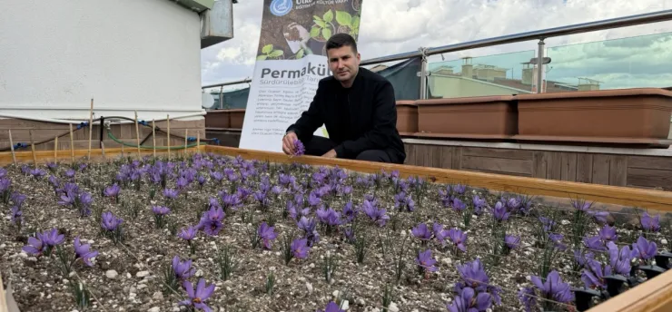 Ülkü Ocakları Genel Merkezi'nde çatıdan hasat: 'Her yer üretim alanına dönüşebilir'