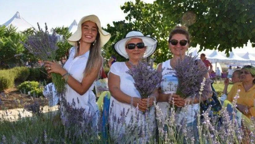 Silivri'de Görkemli Lavanta Şenliği