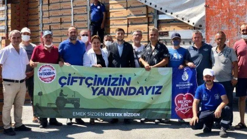 İBB Kışlık Sebze Fidesi Dağıtımlarına Başladı