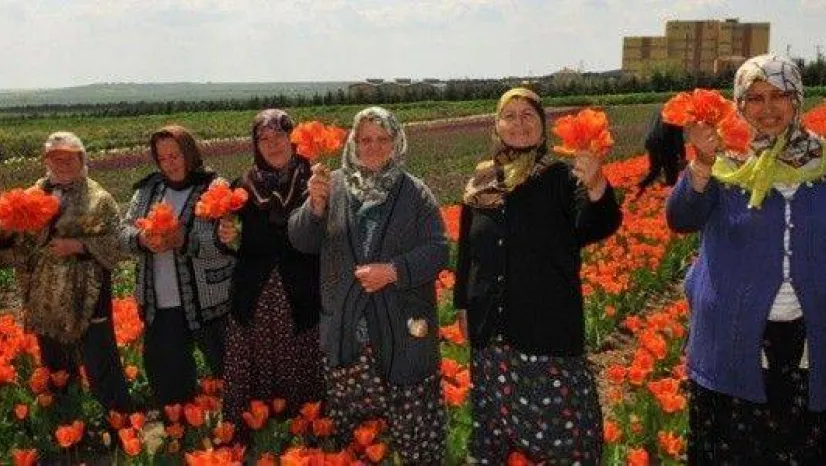Silivri'ye özlem