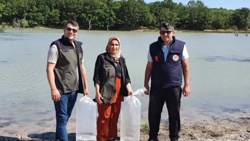 7 bin adet yavru sazan göletlere bırakıldı