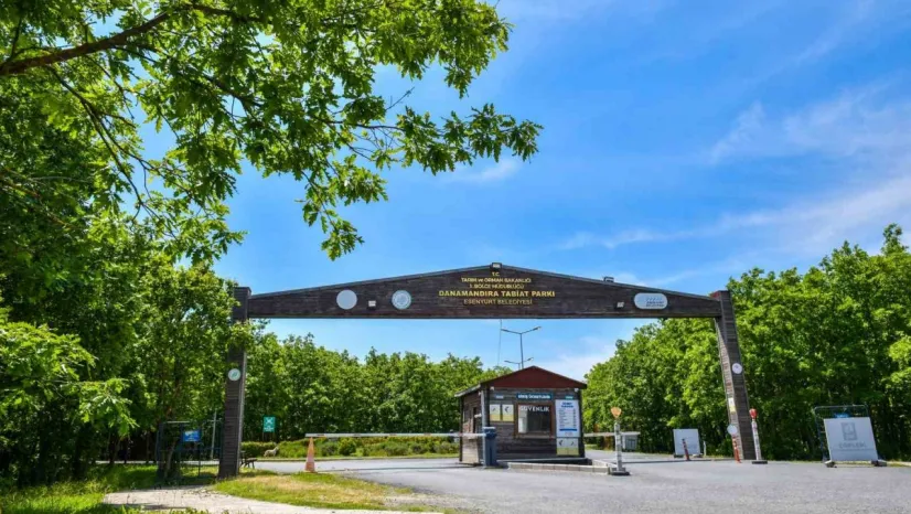 Danamandıra Tabiat Parkı yaza hazır