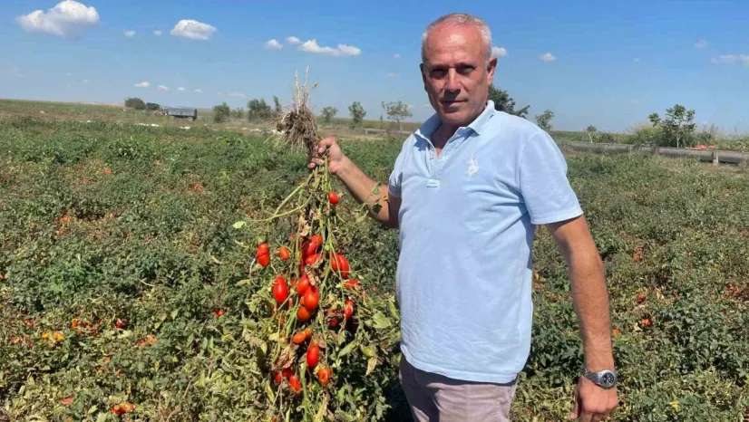 Dedesi seçimde muhtar oldu adına 'Seçim' konuldu