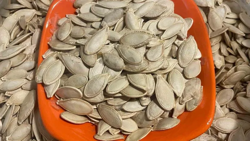Kabak çekirdeğine 'Salmonella', zencefile 'Bacillus cereus' nasıl bulaşıyor