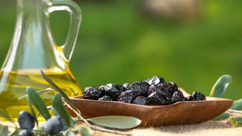 Marmarabirlik'ten 761 milyon liralık ödeme