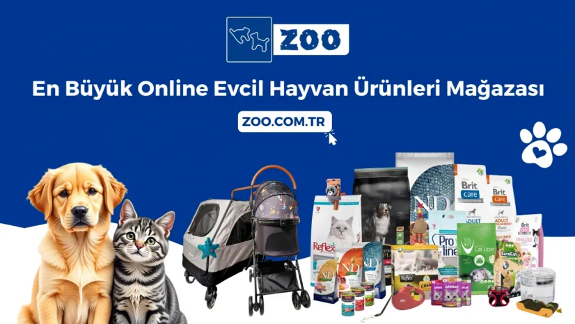 Pet Shop Ürünleri Ekonomik Fiyatlarla Zoo.com.tr'de!