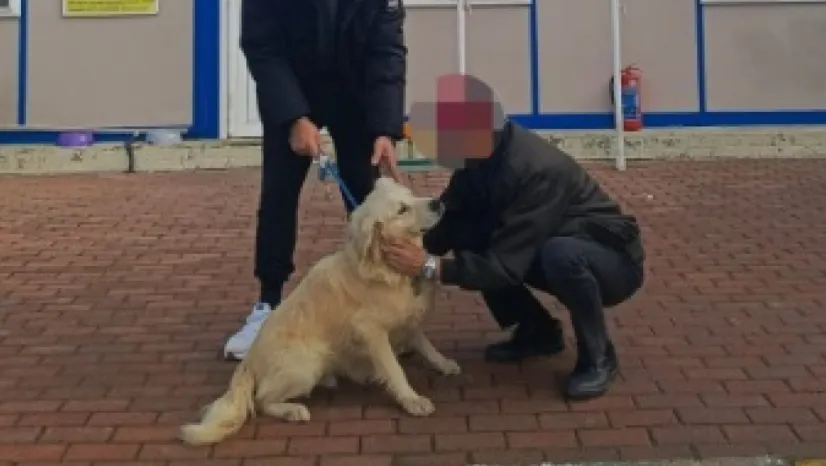 Silivri'de Can Dostlara Sıcak Yuva Sevinci