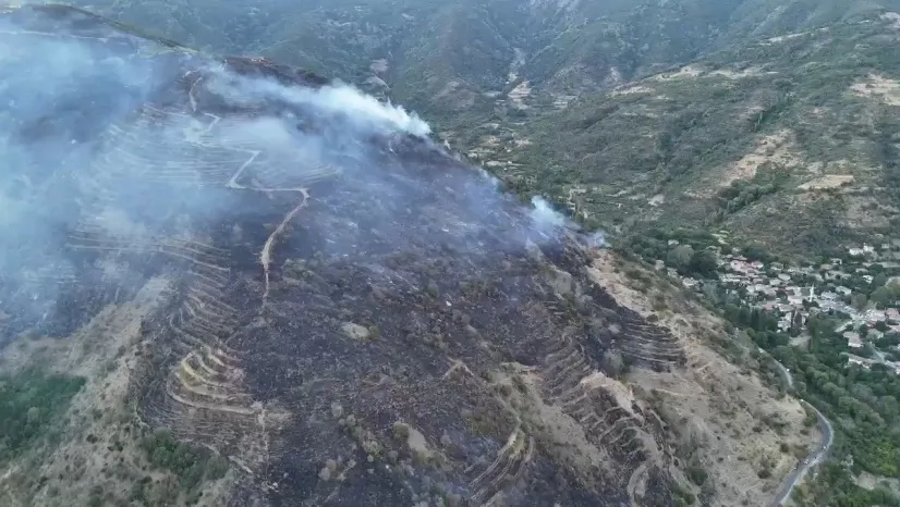Tekirdağ'daki orman yangınını söndürme çalışmaları sürüyor