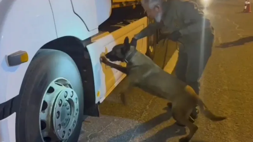 Tırdaki 5,5 kilogram uyuşturucuyu 'Viva' buldu