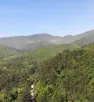 Çanakkale'de ormanlık alanlara giriş yasaklandı